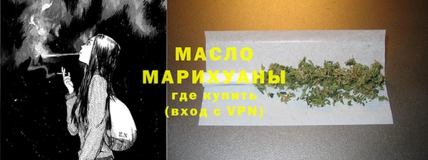 гидра Богородицк