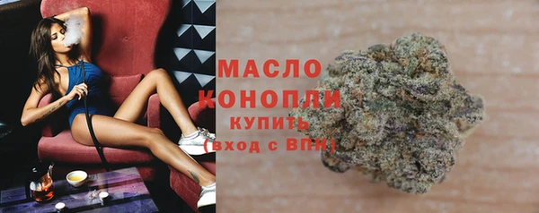 молекула духа Богданович