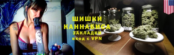 молекула духа Богданович