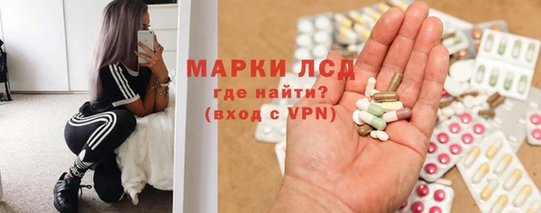 гидра Богородицк