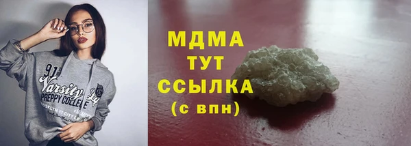 гидра Богородицк