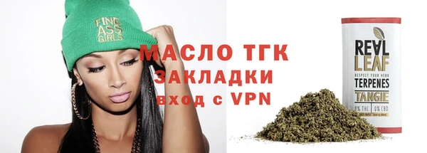 молекула духа Богданович