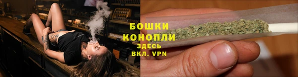 гидра Богородицк