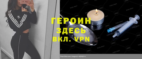 гидра Богородицк