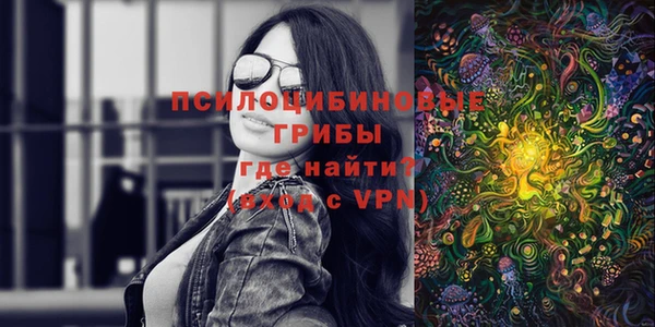 молекула духа Богданович