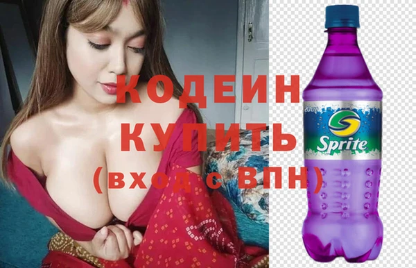 молекула духа Богданович