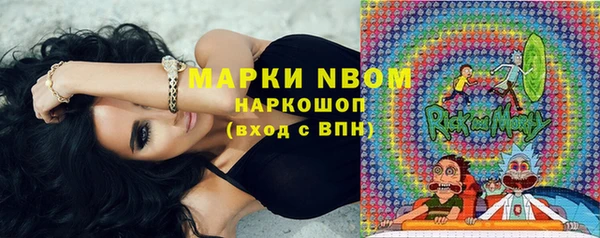 молекула духа Богданович