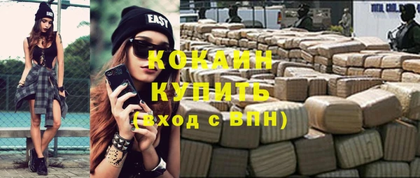 молекула духа Богданович