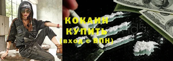 молекула духа Богданович