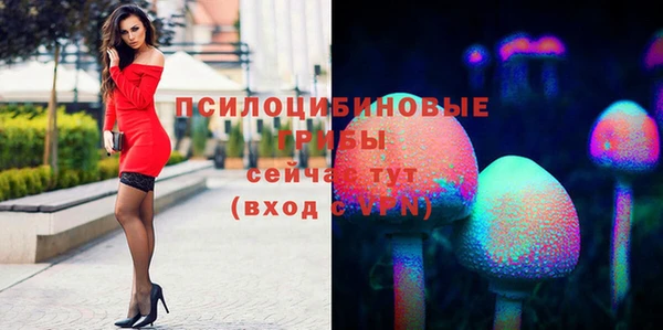 гидра Богородицк