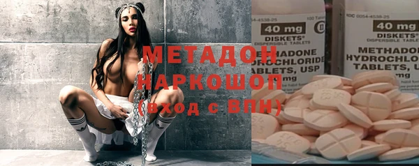 молекула духа Богданович