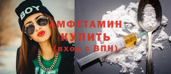 гидра Богородицк