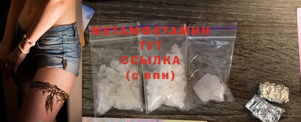 гидра Богородицк
