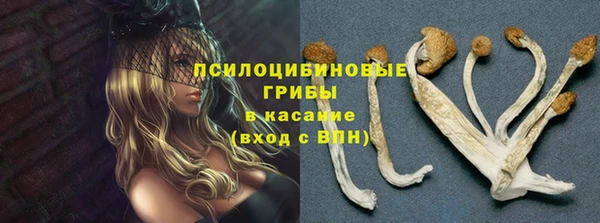 jwh Богородск