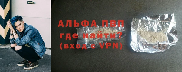 молекула духа Богданович
