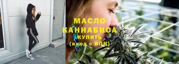 гидра Богородицк